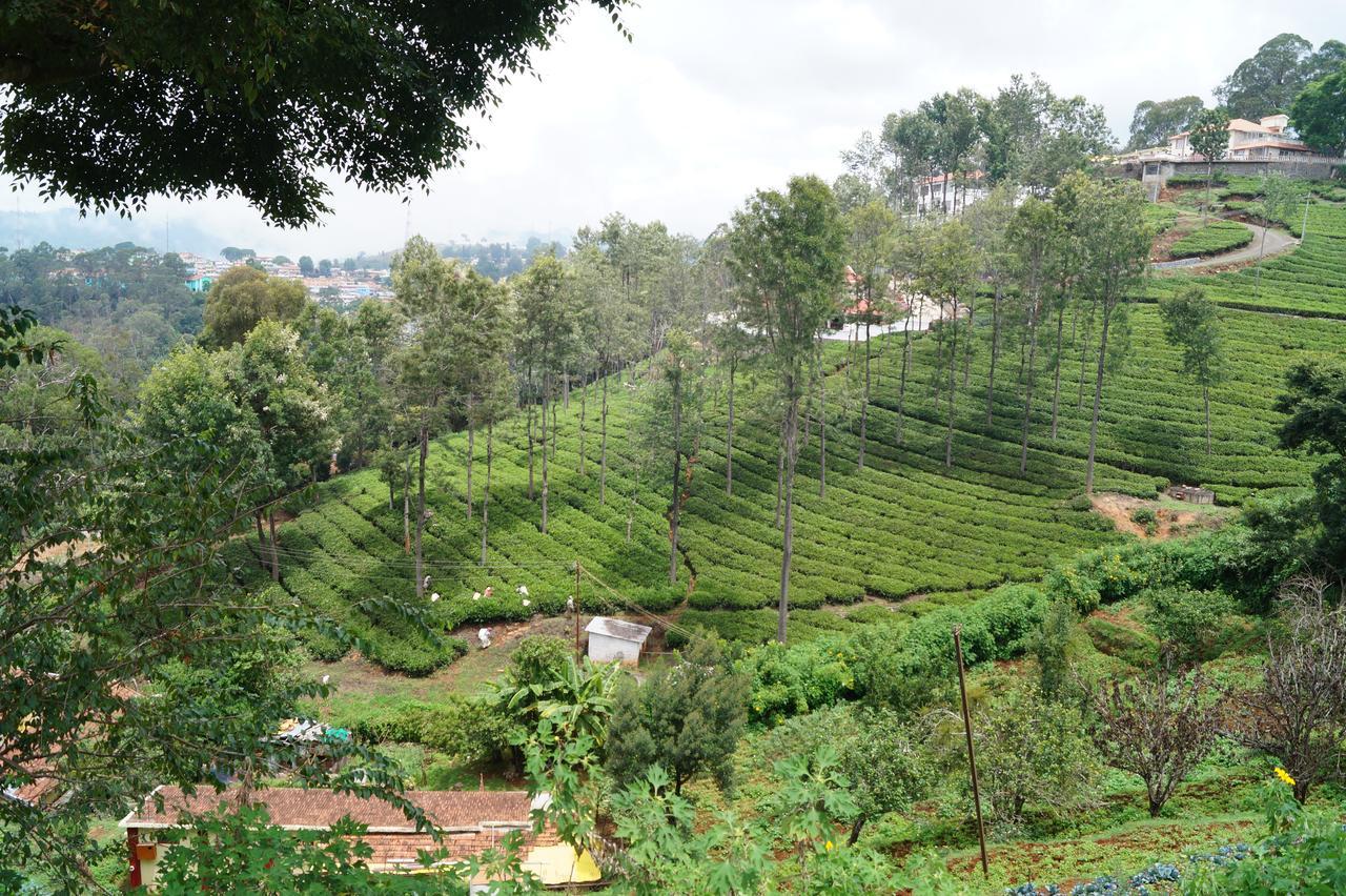 Fairy Glen Bed & Breakfast กูนูร์ ภายนอก รูปภาพ